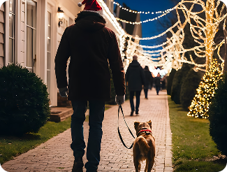 how-meta-tech-consultant-paves-the-way-to-digital-excellence